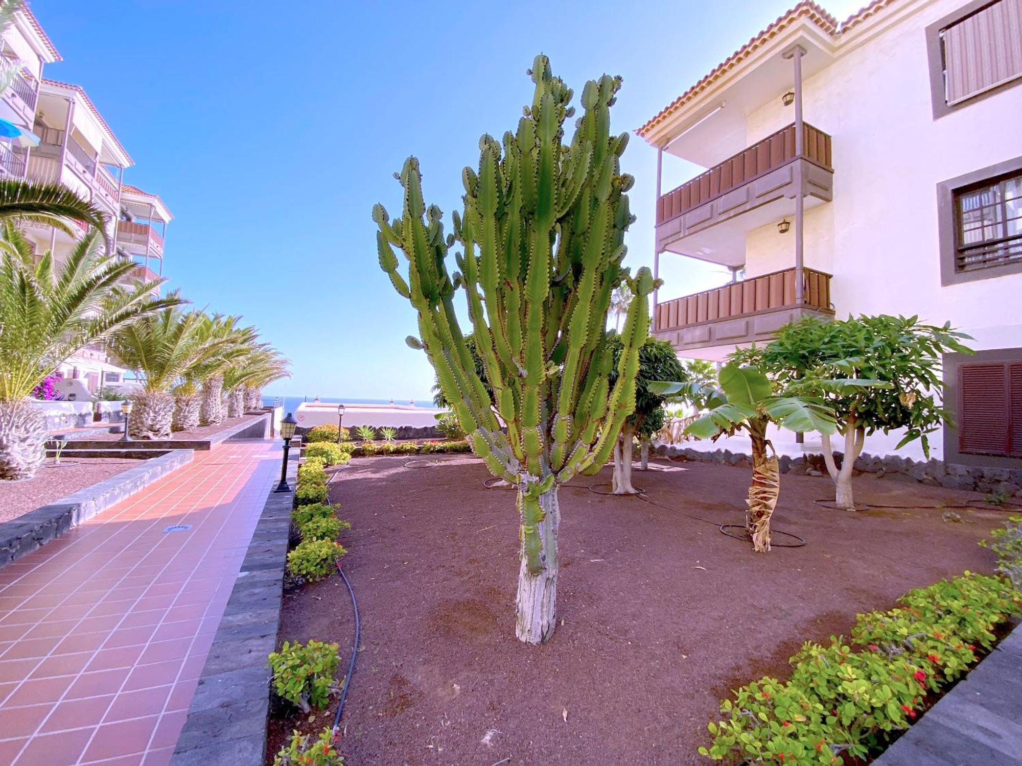Tropicalidays Costa Mar Διαμέρισμα Costa Del Silencio Εξωτερικό φωτογραφία